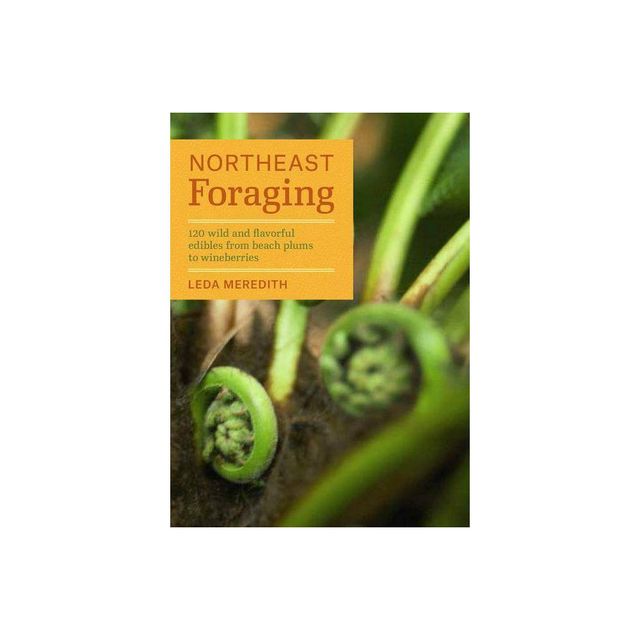Northeast Foraging - (Regional Foraging) by Leda Meredith (Paperback)