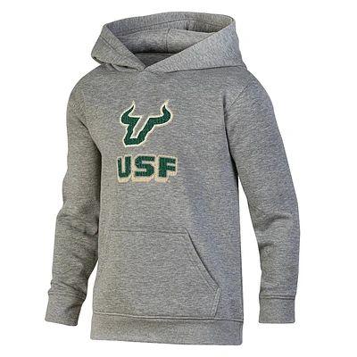 NCAA South Florida Bulls Boys Gray Hoodie