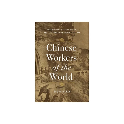 Chinese Workers of the World - by Selda Altan (Hardcover)