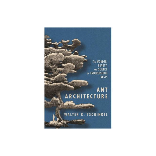 Ant Architecture - by Walter R Tschinkel (Hardcover)