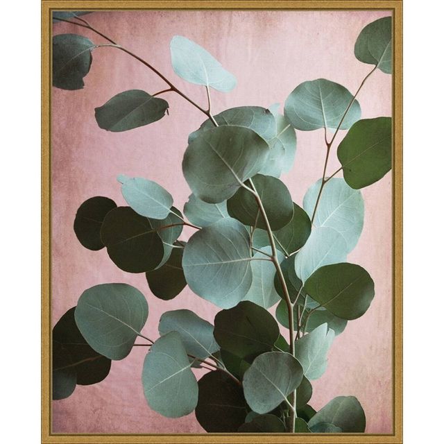 16x20 Sage Eucalyptus No.1 by Lupen Grainne Framed Canvas Wall Art - Amanti Art: Modern Botanical Decor