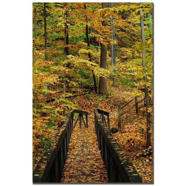 22 x 32 Fall Bridge by Kurt Shaffer - Trademark Fine Art