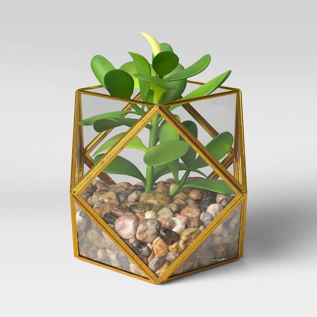 5 x 4 Artificial Succulent Plant with Brass Terrarium - Threshold: Indoor Faux Floral, Glass Pot Decor