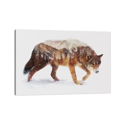 iCanvas  Arctic Wolf by Andreas Lie Unframed Wall Canvas : Modern Decor, Mixed Media Animal Artwork