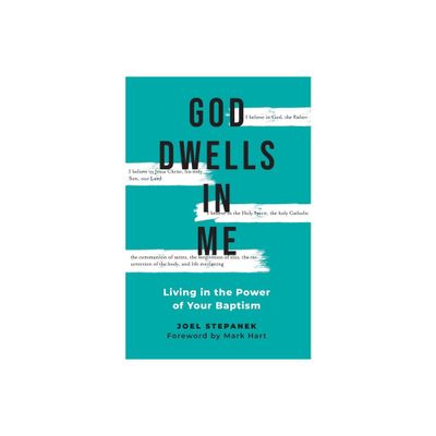 God Dwells in Me - by Joel Stepanek (Paperback)