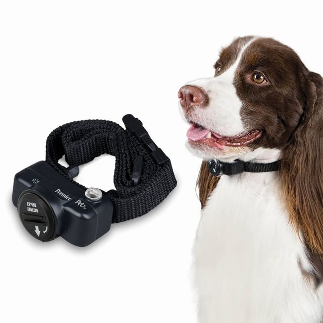 target pet camera