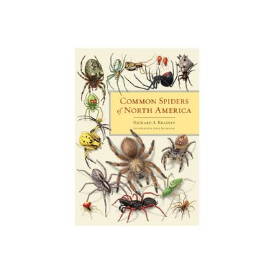 Common Spiders of North America