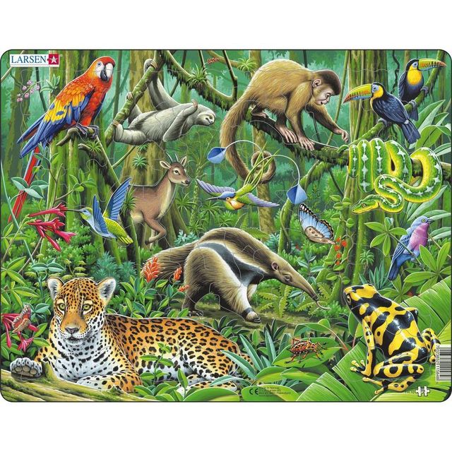 Springbok Larsen South American Rainforest Childrens Jigsaw Puzzle - 70pc