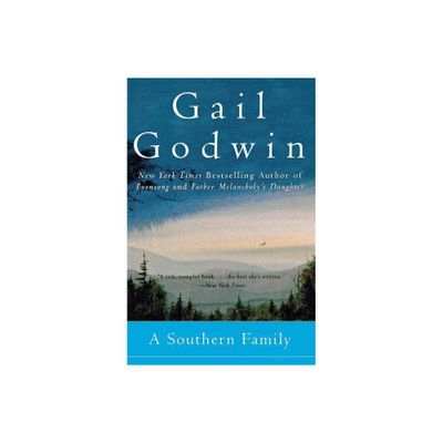 A Southern Family - by Gail Godwin (Paperback)