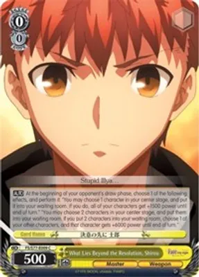 What Lies Beyond the Resolution, Shirou