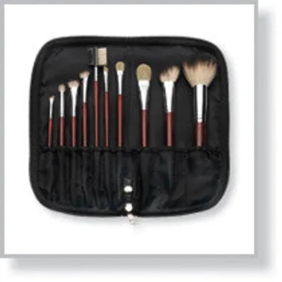 50098 10-Piece Maroon Brush Set with Zippered Case, Black