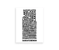 Saskatchewan Map - Damon D Chan Map Designs