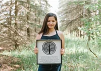Tree of Life (13x13) Wooden Sign - William Rae Designs