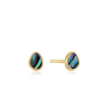 Ania Haie Gold Tidal Abalone Studs