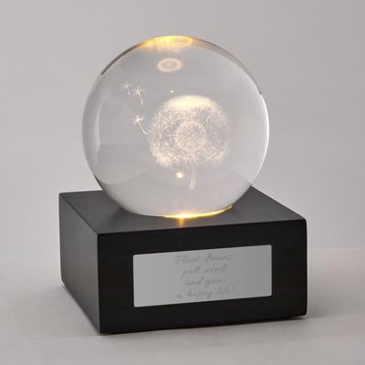 3D LED Dandelion Flower Glass Cube