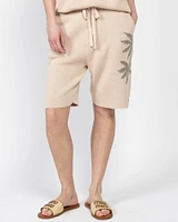 Palm Shorts