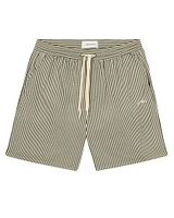 Stan Stripe Swim Shorts