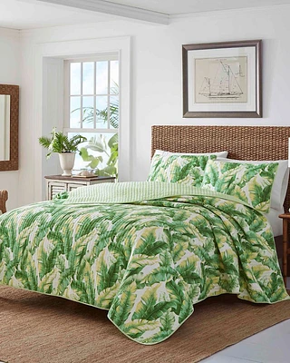 Anguilbotanical 3-Piece King Quilt Set