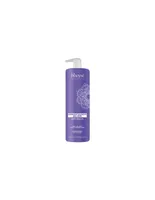 Renee Blanche Bheyse Anti-Yellow Silver Conditioner - 1L