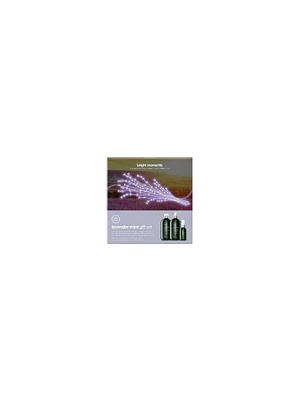 Paul Mitchell Lavender Mint Gift Set