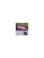 Paul Mitchell Lavender Mint Gift Set