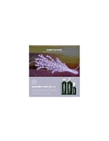 Paul Mitchell Lavender Mint Gift Set