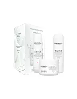 Goldwell Dualsenses Silver Holiday Trio