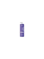 Renee Blanche Bheyse Anti-Yellow Silver Conditioner - 1L