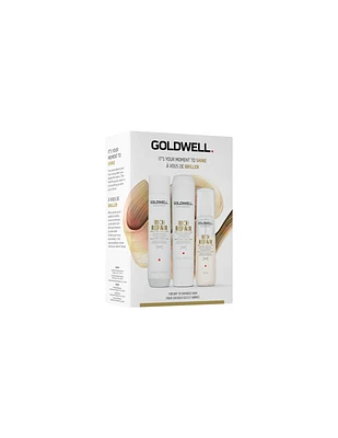 Goldwell Dualsenses Rich Repair Holiday Kit