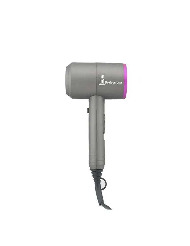 GS Professional D Dryer