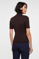 Metallic Effect Short Sleeve Ribbed Sweater