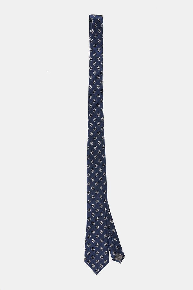 Paisley Regular Tie