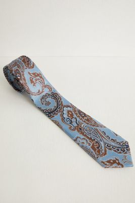 Paisley Pattern Silk Tie