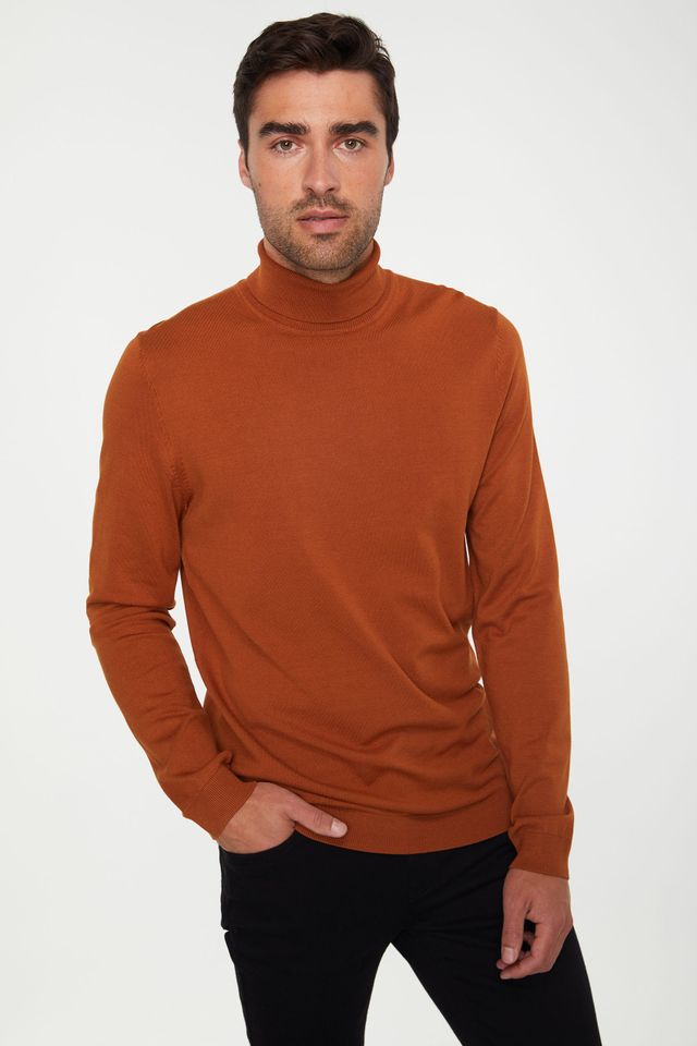 Solid Turtleneck Sweater