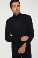 Solid Turtleneck Sweater