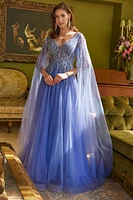 princess long sleeve dress