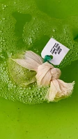 Bombe pour le bain Energizing Matcha And Peppermint Cataplasm