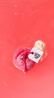 Softening Marshmallow And Rose Cataplasm Bath Bomb