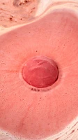 Bombe pour le bain Sticky Dates