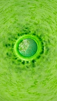 Bombe pour le bain Green Fairy