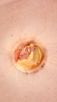 Bombe pour le bain Yog Nog