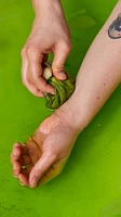 Bombe pour le bain Energizing Matcha And Peppermint Cataplasm