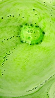 Bombe pour le bain Green Fairy