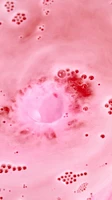 Sweet Ruby Bath Bomb