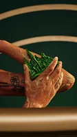 Savon Emerald City