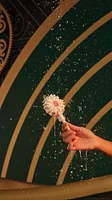 Glinda's Wand Bubble Wand