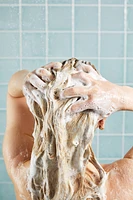 Wasabi Shan Kui | Olive Oil Caffeine Shampoo LUSH