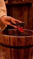 Savon Toothless Tail