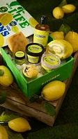 Lush Kitchen Box XL 