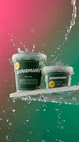 Botanomancy Body Scrub